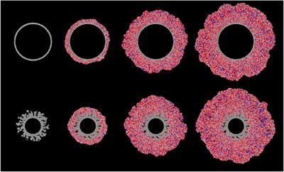 Chemical Kinetics Simulations of Ice Chemistry on Porous Versus Non-Porous Dust Grains